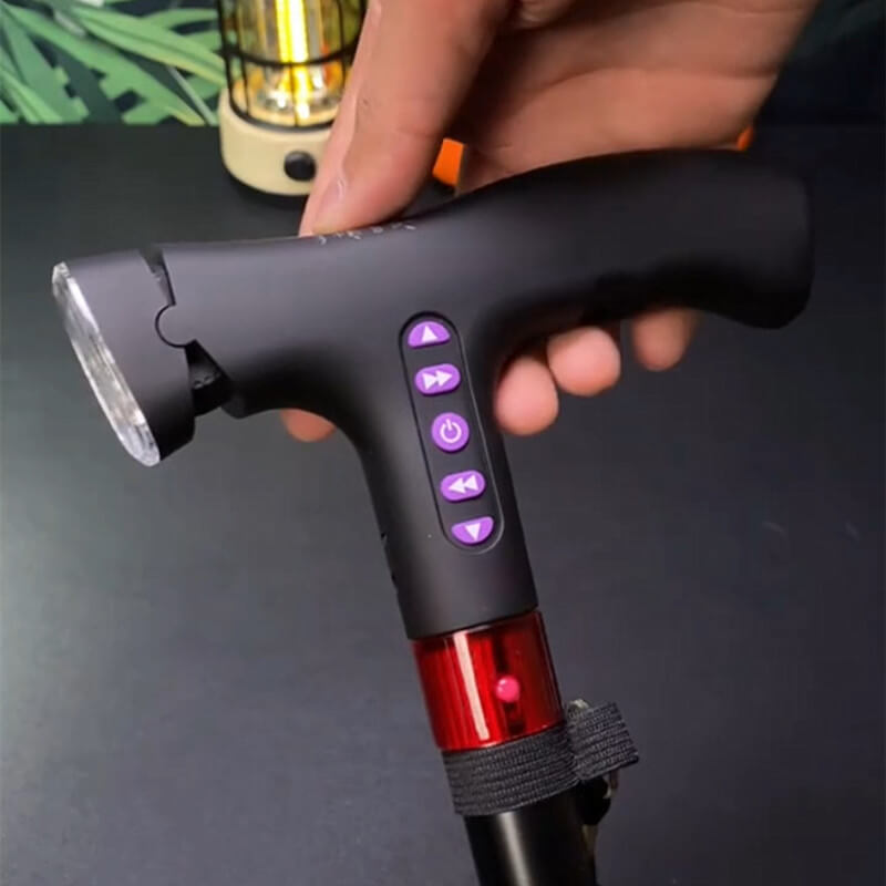Smart Walking Cane